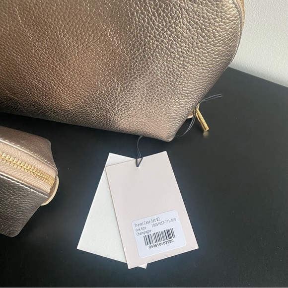 Cuyana Bags Cuyana Travel Case Set In Champagne Gold Pebbled